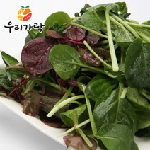 [우리가락]베이비채소 50g, 단품