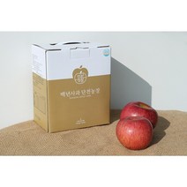 백년사과 단전농장 NFC착즙 명품 생사과즙 3L 벌크, 3박스