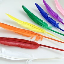 [대원] 거위깃털 새깃털 대 250~300mm 10색상 2개입, 하양