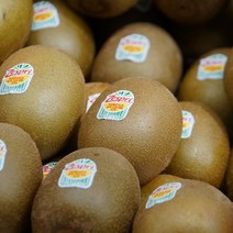 제스프리 썬골드 골드키위 왕점보 키위, 대 110g 10과