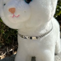 써지컬 스틸 강아지 고양이 슬림바 목걸이 볼드 커브체인 인식표 이름표 네임택 반려동물 애완견, 5.6mm, 민자슬림바, 폰트8번