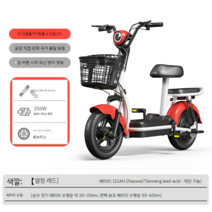 미니 전기자전거 어르신 마실용 전기 팻 바이크 휴대용 경량 두꺼운 휠 뒷좌석 충전식, 12아, B