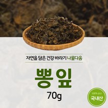 국내산 뽕잎 나물 국내산 건나물 70g, 1개