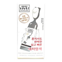 비바세븐 빗으로 바르고 칠하는 새치염색약 [유통기한230630], 1개
