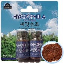 구딘 하이그로필라 후경 씨앗수초 6g*2개