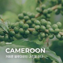 [생두] 카메룬 블루마운틴 내추럴 허니 1kg