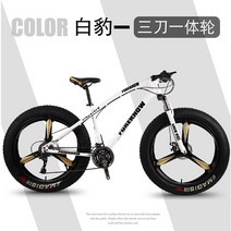 팻바이크 입문용 오프로드 MTB 자전거 20 24 26인치, 27단, 20인치, 화이트(3 나이프 휠)