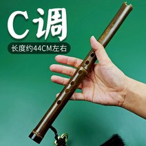 휴대용 악기 입문 퉁소 초보자 오죽 고급 소형 샤오 단소, T01-C조