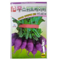 무 스위트베이비 1000립 보라색 동치미 총각김치 자색 소형 무, 1개