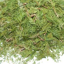 [편백 잎] 편백잎&줄기 허브 (비누 화장품 첨가물), 1개, 편백잎허브-100g