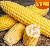 [즉시발송]달고나 프리미엄 초당옥수수/냉동, 02.냉동특품 6개/무선별초당/못난이포함