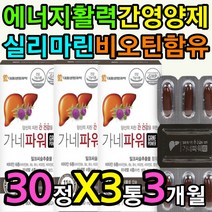 고용량 에너지 체력 활력 간 영양제 밀크시슬 비오틴 밀크시스 밀크티슬 식약처인증 엉겅퀴 뿌리 추출물 분말 가루 실리마린 ALT AST 콜레스테롤 지방 단백질 대사 중년 남성 여성