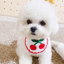 알알 강아지 고양이 편안한 케이프 L + 옷걸이, 1개, 체리L