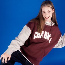 CHARMS COLOR BLOCK LOGO HOODIE BD