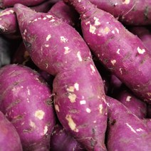 파근파근 국내산 해남 햇 밤고구마 3kg 5kg, 세척 햇 밤고구마 5kg