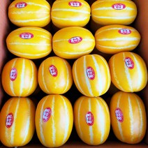 성주 꿀 참외 정품 선물용 3kg 5kg 10kg 로얄사이즈, 정품선물용 10kg 로얄사이즈