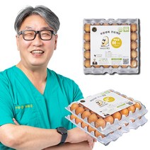 [당일 생산] 닥터안스에그 무항생제 인증 수의사 계란, 대란 60구, 3120g 이상