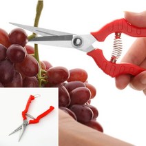 히뚜상점 원예 전지가위 21CM 하우스자재 꽃꽂이가위 전지가위집 잔디가위 소나무가지치기 정원가위 조경자재 가지치기가위 포도가위, 1개