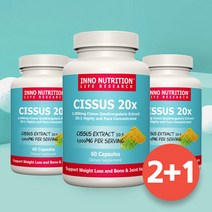 이노뉴트리션 캐나다 시서스 가루 알약타입 시저스 씨서스 추출물 60캡슐 3병묶음