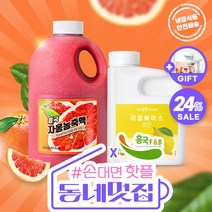 흥국에프엔비 자몽농축액1.5L + 리얼베이스 레몬 + 펌프 증정