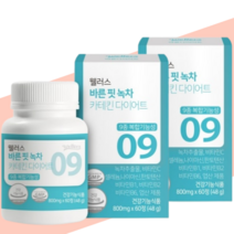 내장지방분해 내장비만 복부비만 체지방줄이는법 웰러스 녹차 카테킨 다이어트, 2개, 60정