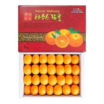 제주열매 감귤 선물용 4.5kg, 단품