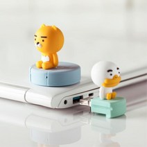 카카오프렌즈 캐릭터USB 32기가 메모리 이동식디스크 인증서저장 백업 졸업선물 PC사용 대용량 중요한서류, 라이언