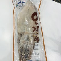 당일바리 국내산 속초 덕장운영 반건조 오징어 대 1.2k 10미 말린 덜마른 피데기 버터