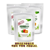 파프리카 가루 분말 200g 주황색 100% 국산 파프리카 건조 아이들 요리 이유식 재료 소스 가루로 활용 주황색, 3팩