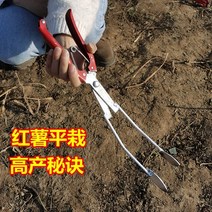 파종기 옥수수파종기 볍씨파종기 베스트파종기 고구마 심기 장치 농업용 모종 이식기 핀셋 평심기 수박 붉은 이식 도구, [05] 고구마 파종기 10개