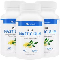 [미국번개배송] 착한명품 마이라이프 내추럴스 매스틱검 1000mg 60정 3병