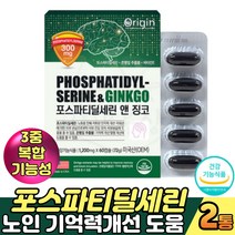 포스파티딜세린 은행잎추출물 징코 대두레시틴 홍삼 분말 50대 60대 기억력 비타민E 플라보놀배당체 비타민비 직장인 작업기억 집중력높이는법 손가락 다리 저림 혈행개선 도움, 2통, 60캡슐