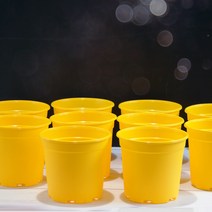 이삭 국내산 칼라화분 (노랑14호 10개1세트)- 가성비좋은 가벼운 화분, 단품