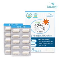 김치유산균 신바이오틱스 프로바이오스틱 장내유익균