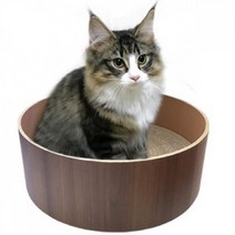 똘복M 캣용품 캣닢가루 캣닢쿠션 증정 스크래쳐 기본사이즈 브라운 고양이 애묘용품, DDB_상품선택