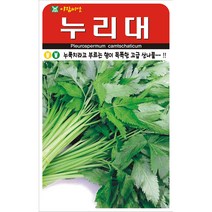 누리대 민속채소씨앗 20립 아람종묘 23년