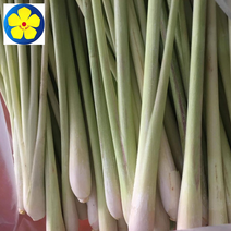 [J&J] Fresh 레몬그라스, 1kg, 2팩