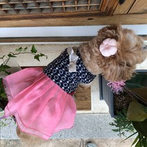 라티푸 강아지 더고운 여아 한복, 핑크