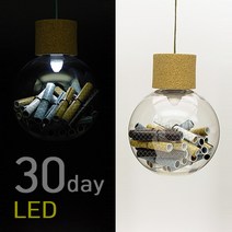 레드시티 타임캡슐편지 매달아쓰는 LED 30마리편지 전구모양 X유리병편지, LED화이트고정