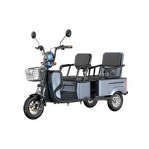 독일 전기 삼륜차 충전식 전동차 스쿠터 3륜 전동 소형 삼발이 바이크, 60V, P