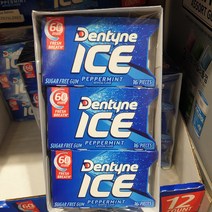 (손소독젤2ml 증정) DENTUNE페퍼민트 무설탕껌 24G X 12PK