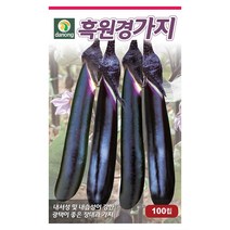다농 흑원경가지 씨앗 100립