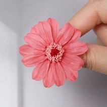 재료 꾸러미 백일 국화 장미 영생화배 꽃 스위트 농원 DIY 대지 소국 4695479449, 한 송이 클래식 레드 03461 -1