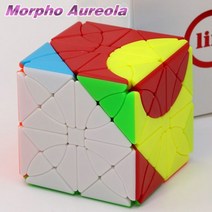 매직큐브 FangShi 매직 큐브 FS 림큐브 모포 오레올라 모, FS Aureola JiGuang