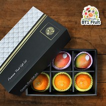 [미인과친한]페루애플망고3과+레드향3과 혼합선물세트