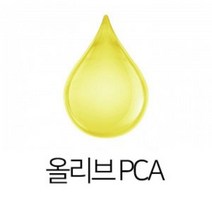 몰드몰 올리브 PCA, 1kg