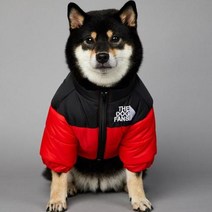 2023 SUPREPET패딩 개 겨울 옷 따뜻한 방풍 솔리드 코트 코튼 디자이너 대형 강아지 액세서리, 빨간+L