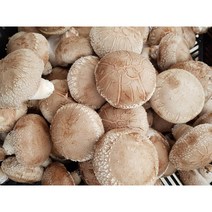 양양표고버섯1kg상품, 5kg