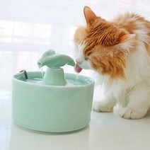 유해물질 없는 도자기 세라믹 펫 반려동물 아낀다면 물그릇 정수기 강아지 고양이, usb수중모터