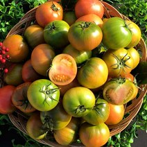 [프리미엄] 대저토마토 부산 농장직송 최상등급, 오리지널 대저 찰 토마토 2.5kg (3~7번)